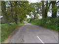 Lane to Sampford Peverell near Muddifords Farm