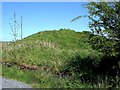 Tarbolton Motte