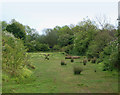 Old railway near Stockton locks