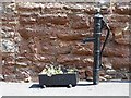 Water pump & trough, Monmouth Hill, Topsham