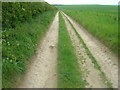 Bridleway towards Raven Hill Farm