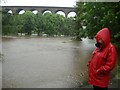 Waterhall Park and Penistone Viaduct