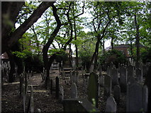 TQ2678 : Jewish Cemetery, Fulham Road by PAUL FARMER