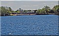 Lodge Farm Reservoir, Netherton