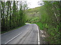 Woods above the road