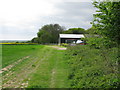 The Roman road past Telegraph Farm