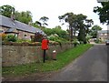 NT9932 : Cottages in Doddington Village by Barbara Carr