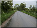 Road entering Greenfield