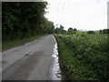 Road heading to Beggarbush Hill