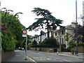 Station Road, Barnes