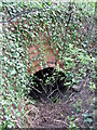 SP3866 : Drainage culvert on disused railway by James Cobbett