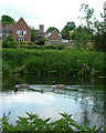 Geese on the River Lark, Mildenhall