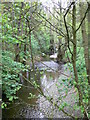 The River Clwyd at Nantclwyd