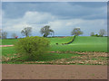 Farmland near Walton