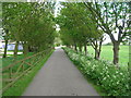 Bridleway towards Filey