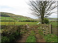 Footpath outside St Hilda