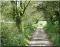 2009 : Track near West Foscote Farm