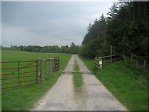 SJ1754 : Access Track to Pen y Ffrith by Chris Heaton