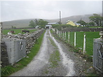 V8089 : Farm lane at Cloghbaun Rock by David Medcalf