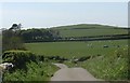 Rhosbeirio farmhouse and the Penymorwydd drumlin