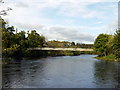 Golf course bridge