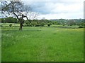 Footpath Near Wood Hill