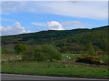 SH6340 : The lower Dwyryd Valley by Eirian Evans