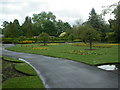 Longford Park, flowerbeds