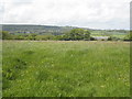 Hay meadow at Devis