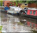 Ducks and Debris