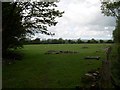 Farmland near Cwmcathan