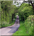 Lane to Brynwithan