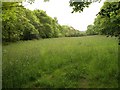 Meadow, Chacewood