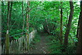 Footpath along the southern edge of Carroty Wood