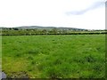 Carrigullion Townland