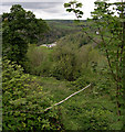 View from Penrallt Trawscoed Talog.