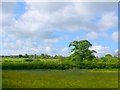 Countryside near Yetminster