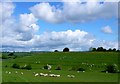 Countryside near Thornford