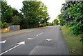 Traffic Calming on Higham Lane