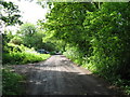 Bridleway and the Sussex Border Path