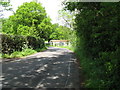 Looking north on Hundred Acre Lane