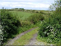 M3715 : Track leading to Ringeelaun Point, Mulroog West Townland by Mac McCarron