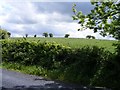 M4109 : Silage or hay field - Caherwoneen North Townland by Mac McCarron