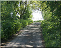 2009 : Long Street passing through Cheverell Wood