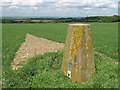 Triangulation Pillar near Kingsdown Farm