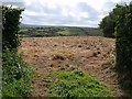 Field near Liscorvah