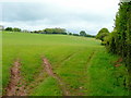 View north from Moyle