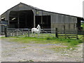 White horse at Stantons Farm