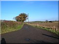 Track to Pallathorpe Farm