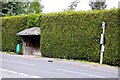 Bus shelter in the hedge